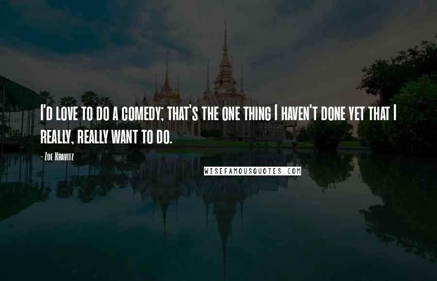 Zoe Kravitz Quotes: I'd love to do a comedy; that's the one thing I haven't done yet that I really, really want to do.