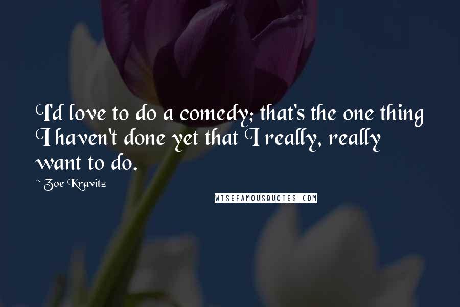 Zoe Kravitz Quotes: I'd love to do a comedy; that's the one thing I haven't done yet that I really, really want to do.