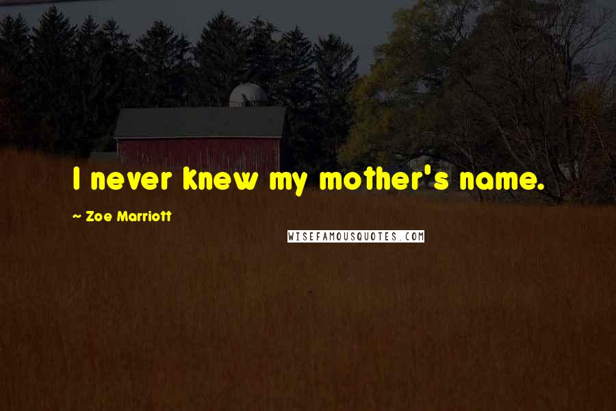 Zoe Marriott Quotes: I never knew my mother's name.