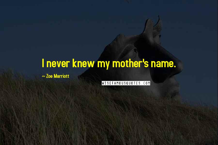 Zoe Marriott Quotes: I never knew my mother's name.