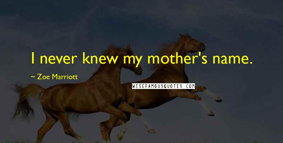 Zoe Marriott Quotes: I never knew my mother's name.