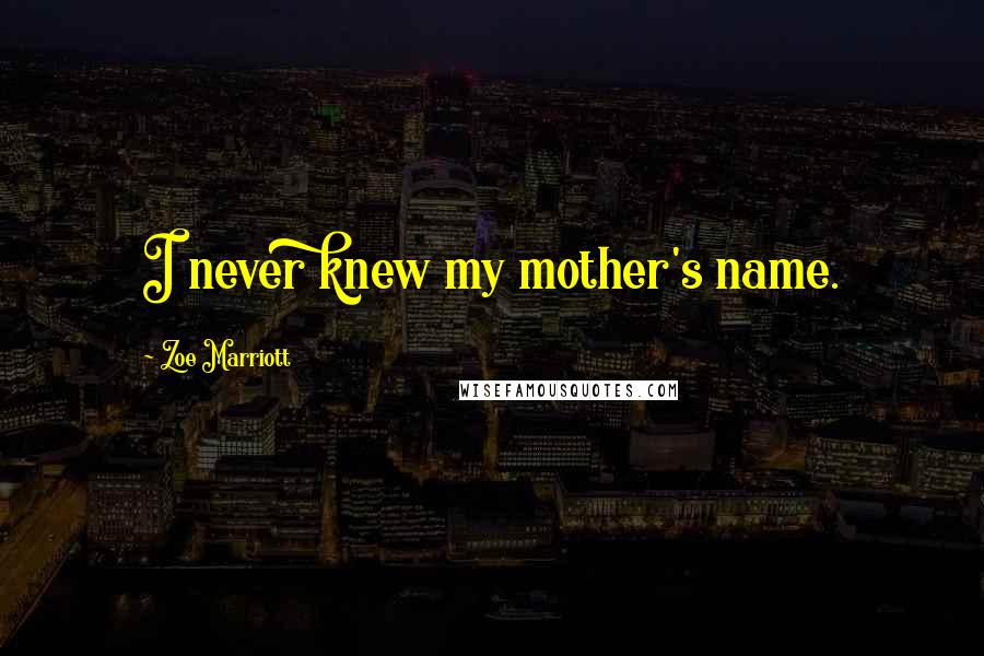 Zoe Marriott Quotes: I never knew my mother's name.