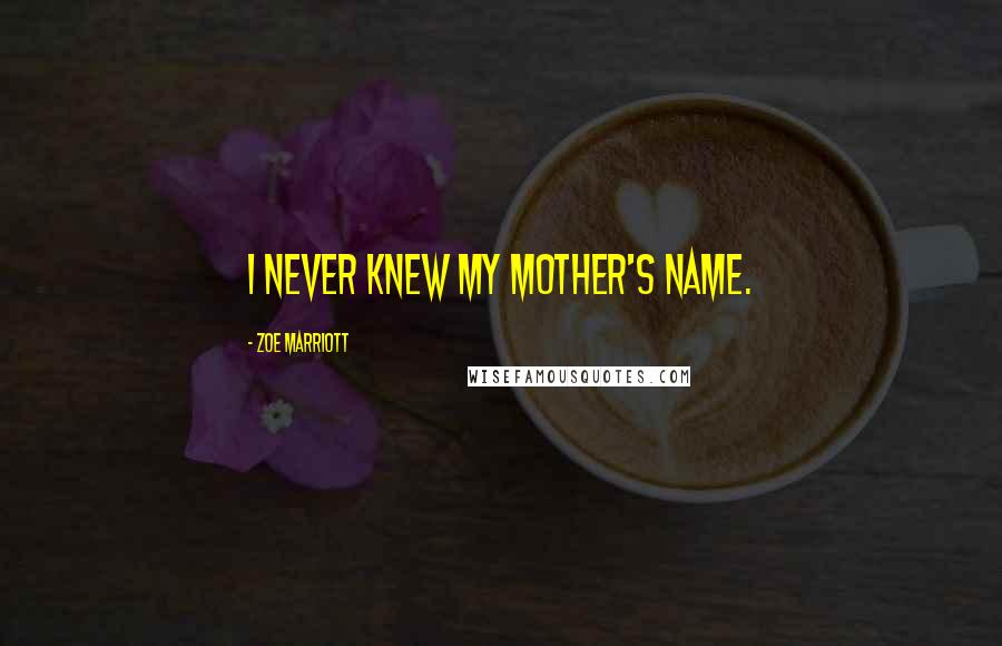 Zoe Marriott Quotes: I never knew my mother's name.