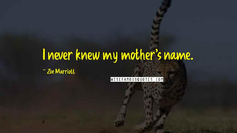 Zoe Marriott Quotes: I never knew my mother's name.