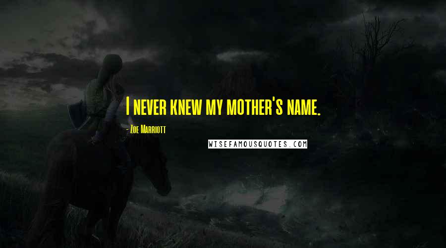 Zoe Marriott Quotes: I never knew my mother's name.
