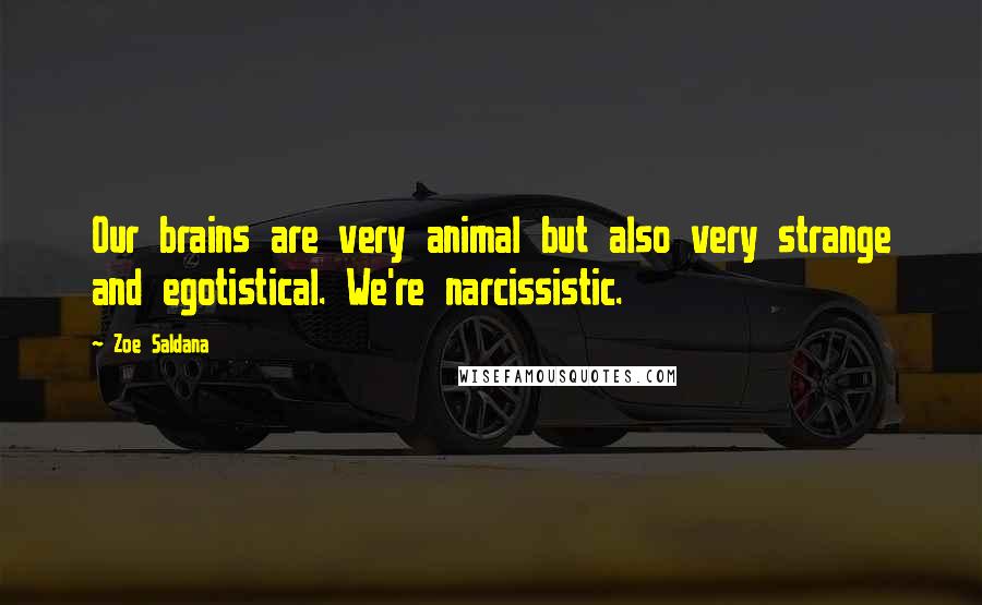 Zoe Saldana Quotes: Our brains are very animal but also very strange and egotistical. We're narcissistic.