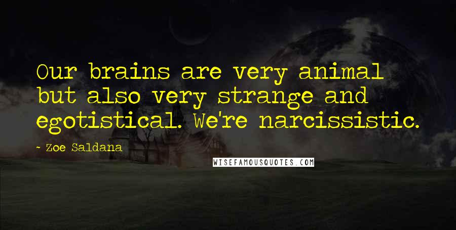 Zoe Saldana Quotes: Our brains are very animal but also very strange and egotistical. We're narcissistic.