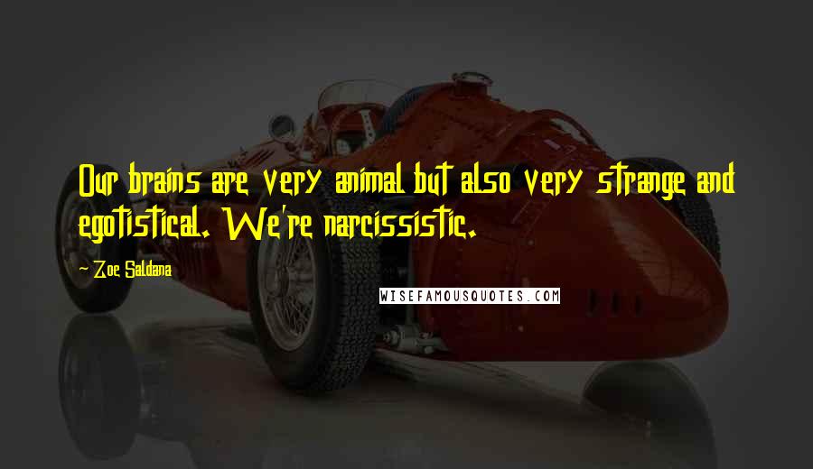 Zoe Saldana Quotes: Our brains are very animal but also very strange and egotistical. We're narcissistic.