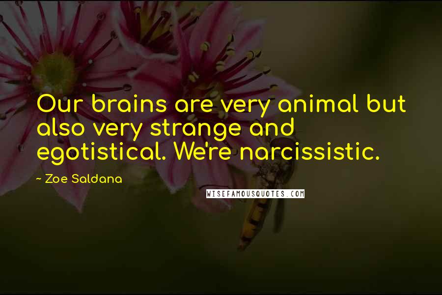 Zoe Saldana Quotes: Our brains are very animal but also very strange and egotistical. We're narcissistic.