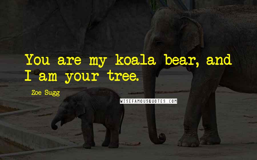 Zoe Sugg Quotes: You are my koala bear, and I am your tree.