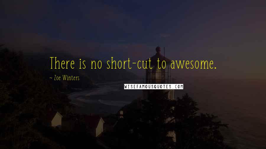 Zoe Winters Quotes: There is no short-cut to awesome.