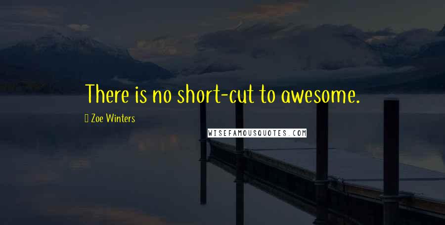 Zoe Winters Quotes: There is no short-cut to awesome.