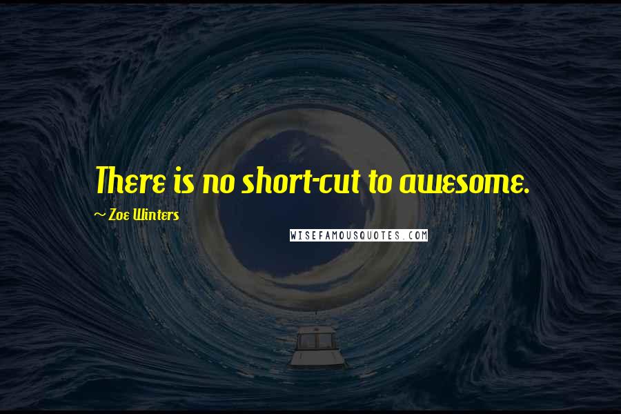 Zoe Winters Quotes: There is no short-cut to awesome.