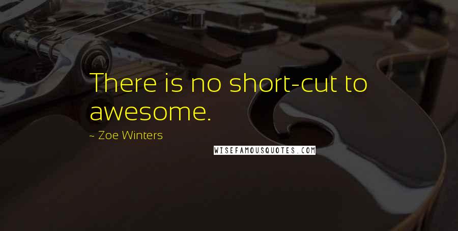 Zoe Winters Quotes: There is no short-cut to awesome.