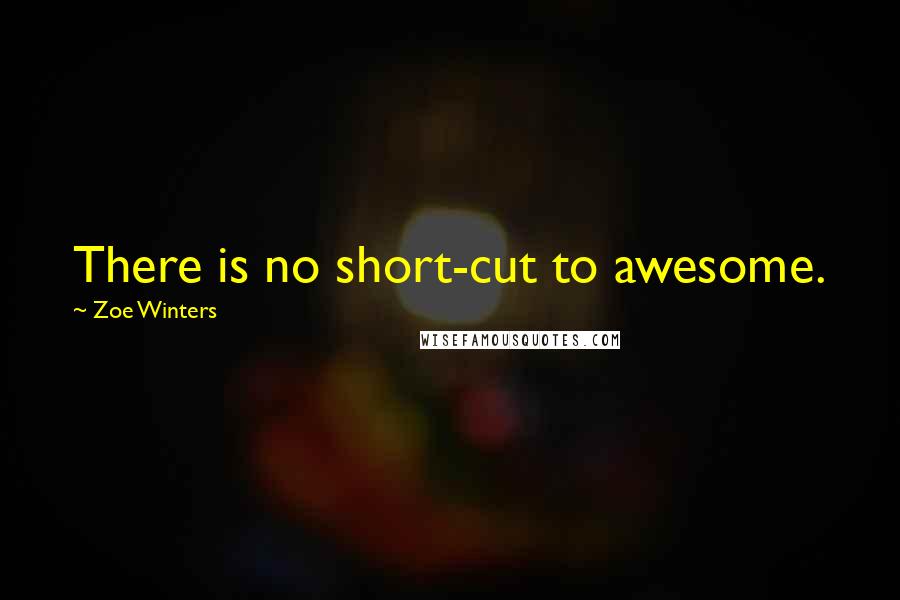 Zoe Winters Quotes: There is no short-cut to awesome.