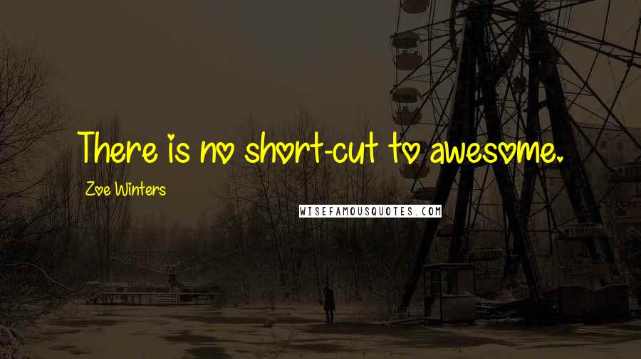 Zoe Winters Quotes: There is no short-cut to awesome.
