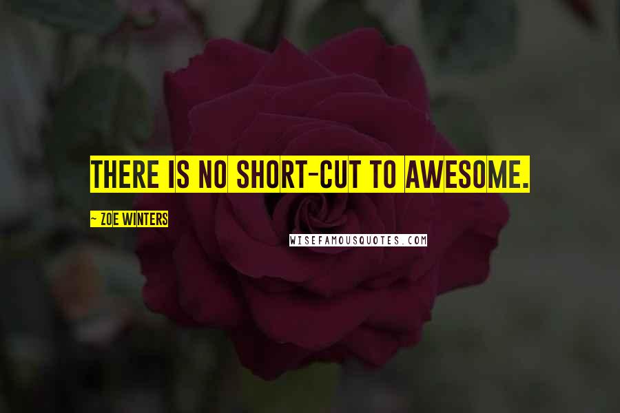 Zoe Winters Quotes: There is no short-cut to awesome.