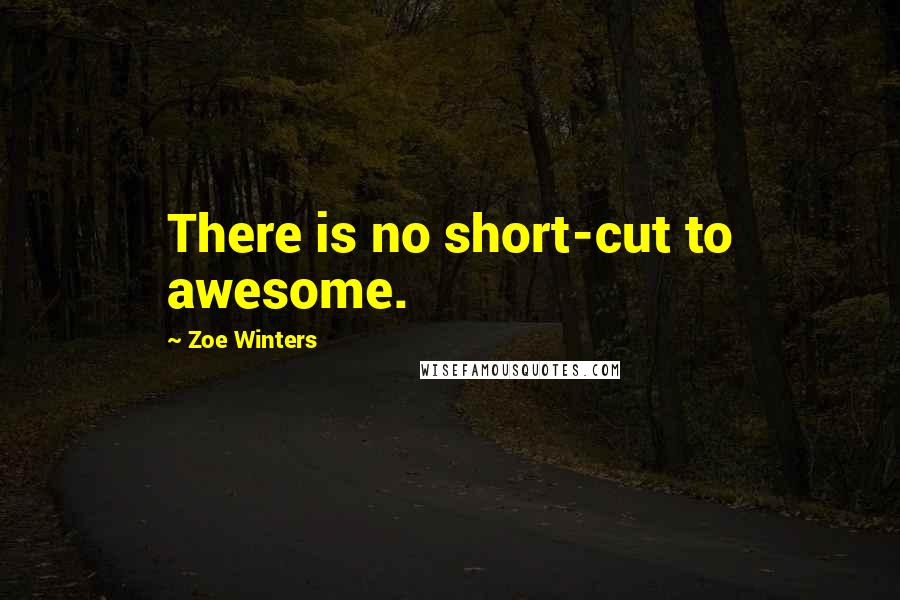 Zoe Winters Quotes: There is no short-cut to awesome.