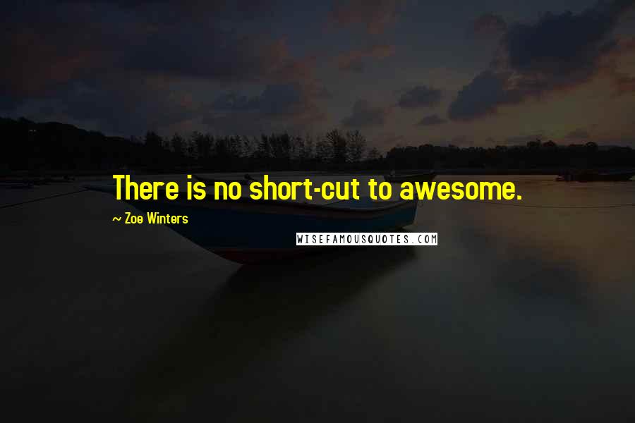 Zoe Winters Quotes: There is no short-cut to awesome.