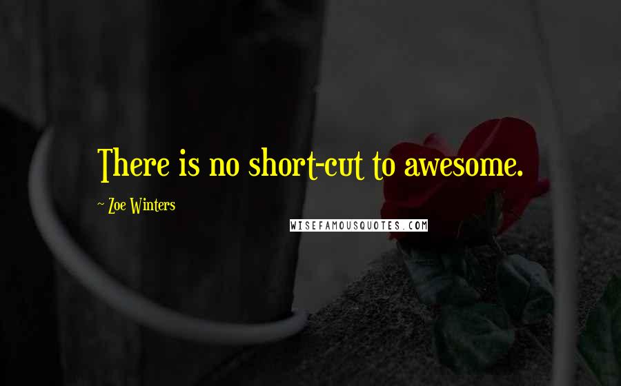 Zoe Winters Quotes: There is no short-cut to awesome.