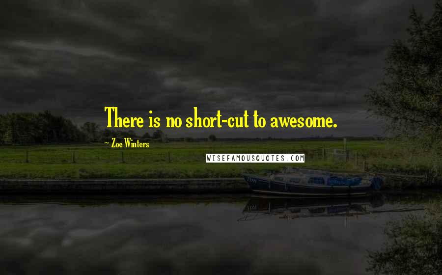 Zoe Winters Quotes: There is no short-cut to awesome.