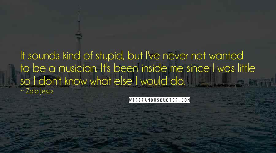 Zola Jesus Quotes: It sounds kind of stupid, but I've never not wanted to be a musician. It's been inside me since I was little so I don't know what else I would do.