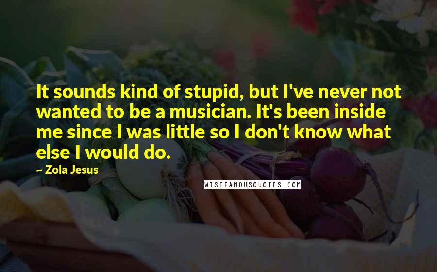 Zola Jesus Quotes: It sounds kind of stupid, but I've never not wanted to be a musician. It's been inside me since I was little so I don't know what else I would do.