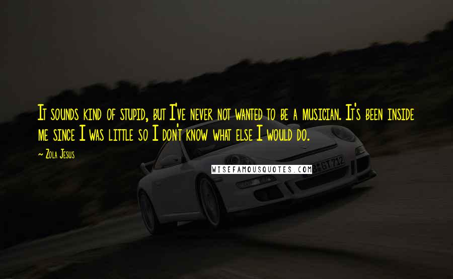 Zola Jesus Quotes: It sounds kind of stupid, but I've never not wanted to be a musician. It's been inside me since I was little so I don't know what else I would do.
