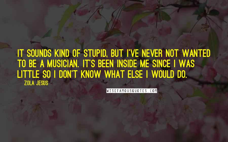 Zola Jesus Quotes: It sounds kind of stupid, but I've never not wanted to be a musician. It's been inside me since I was little so I don't know what else I would do.