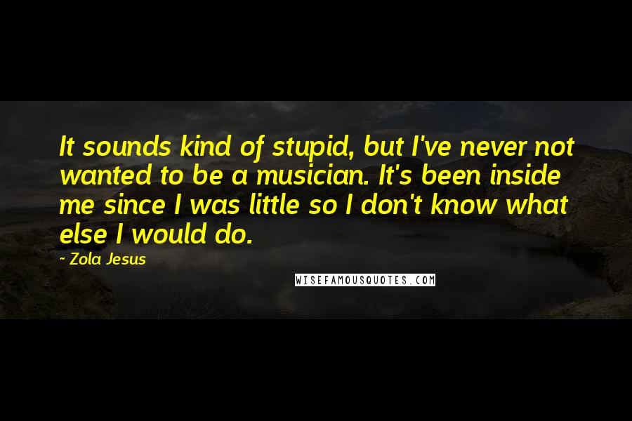 Zola Jesus Quotes: It sounds kind of stupid, but I've never not wanted to be a musician. It's been inside me since I was little so I don't know what else I would do.