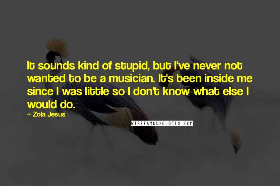 Zola Jesus Quotes: It sounds kind of stupid, but I've never not wanted to be a musician. It's been inside me since I was little so I don't know what else I would do.