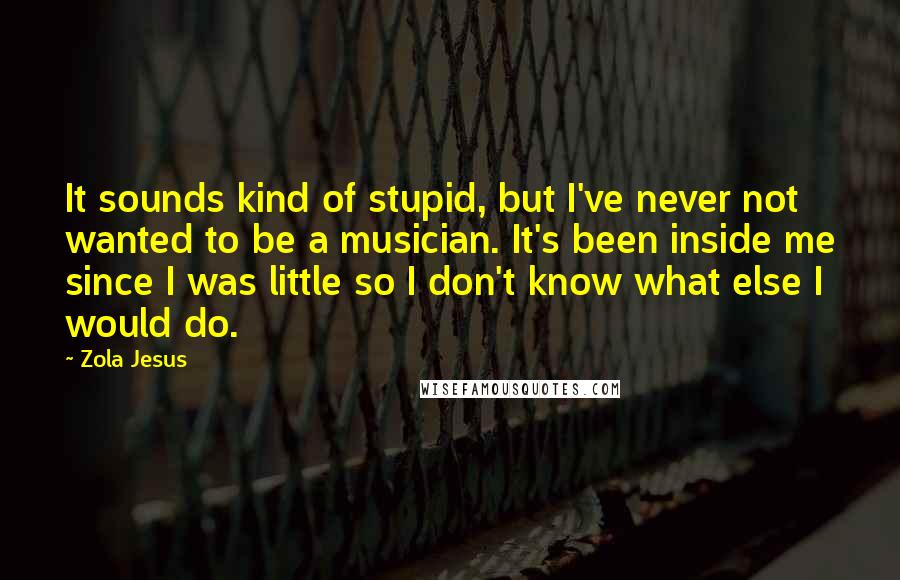 Zola Jesus Quotes: It sounds kind of stupid, but I've never not wanted to be a musician. It's been inside me since I was little so I don't know what else I would do.