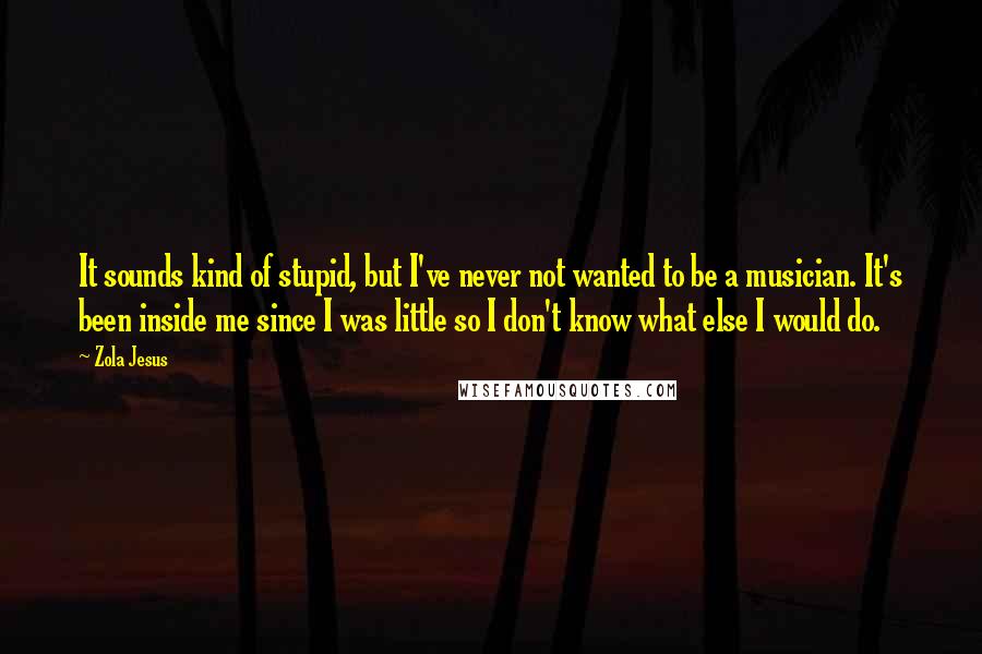 Zola Jesus Quotes: It sounds kind of stupid, but I've never not wanted to be a musician. It's been inside me since I was little so I don't know what else I would do.