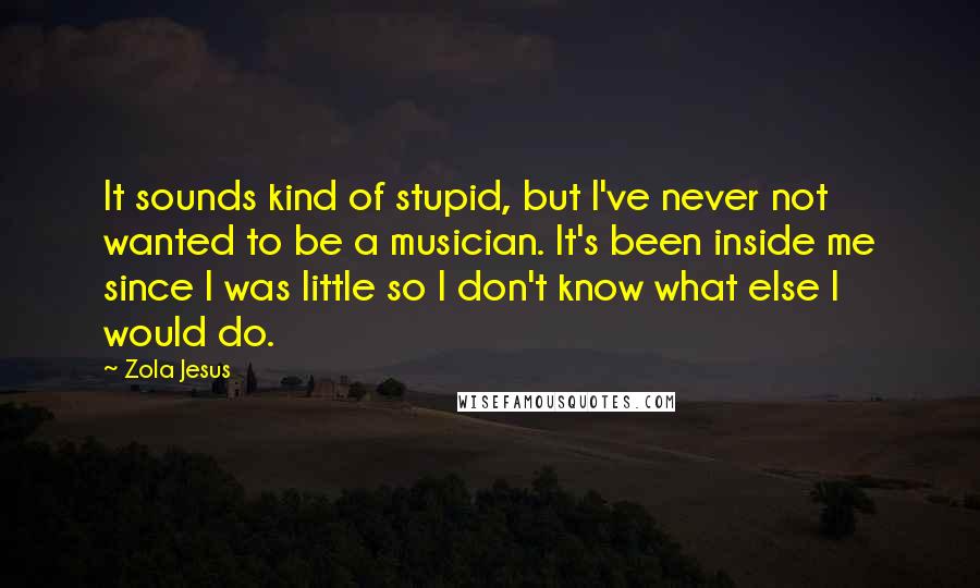 Zola Jesus Quotes: It sounds kind of stupid, but I've never not wanted to be a musician. It's been inside me since I was little so I don't know what else I would do.