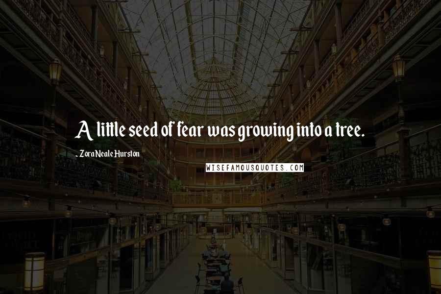 Zora Neale Hurston Quotes: A little seed of fear was growing into a tree.