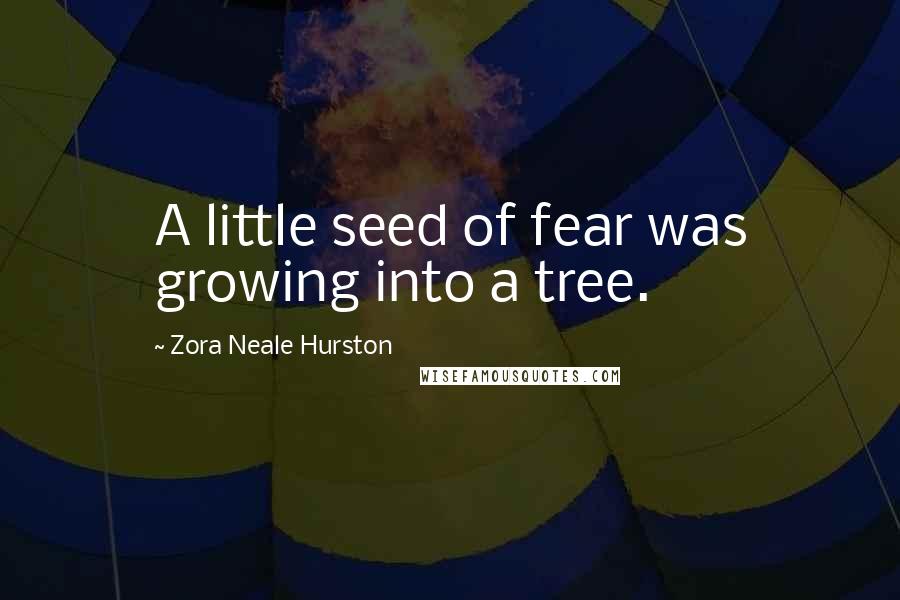 Zora Neale Hurston Quotes: A little seed of fear was growing into a tree.