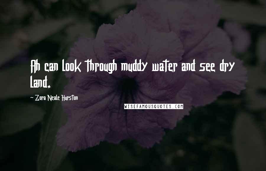 Zora Neale Hurston Quotes: Ah can look through muddy water and see dry land.