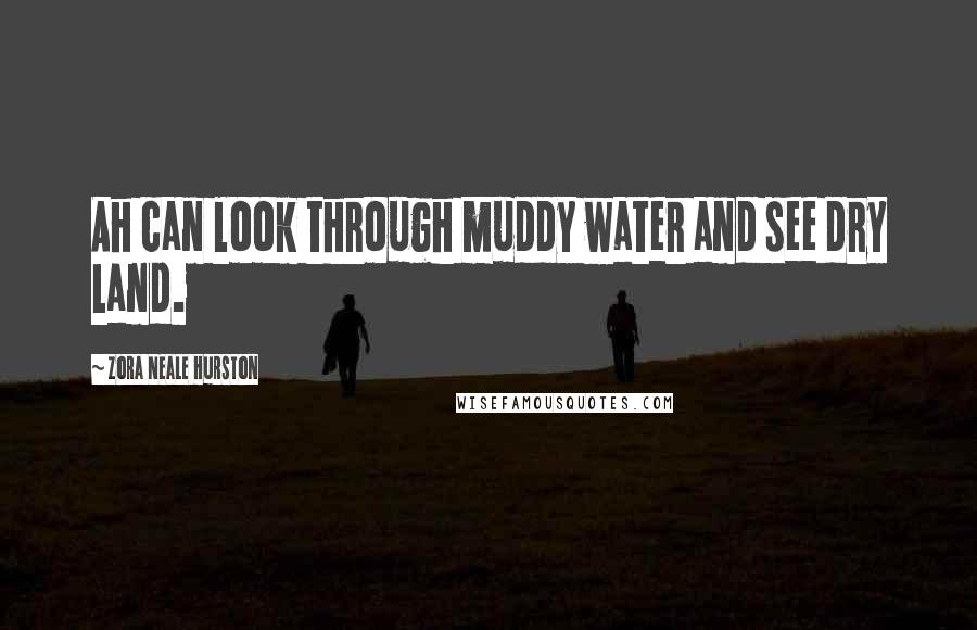Zora Neale Hurston Quotes: Ah can look through muddy water and see dry land.
