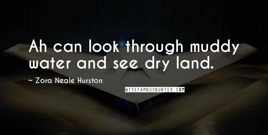 Zora Neale Hurston Quotes: Ah can look through muddy water and see dry land.