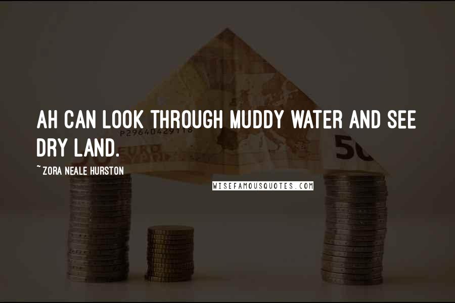 Zora Neale Hurston Quotes: Ah can look through muddy water and see dry land.