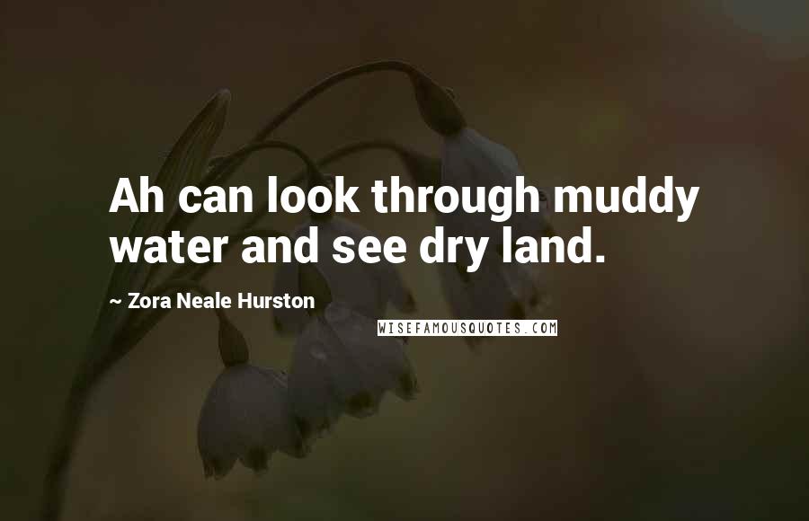 Zora Neale Hurston Quotes: Ah can look through muddy water and see dry land.