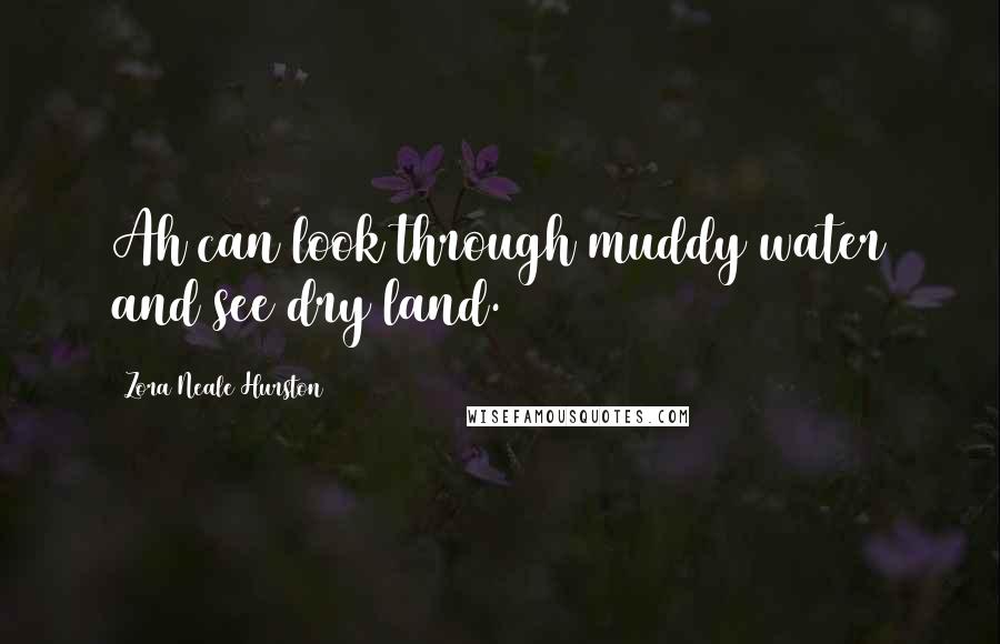 Zora Neale Hurston Quotes: Ah can look through muddy water and see dry land.