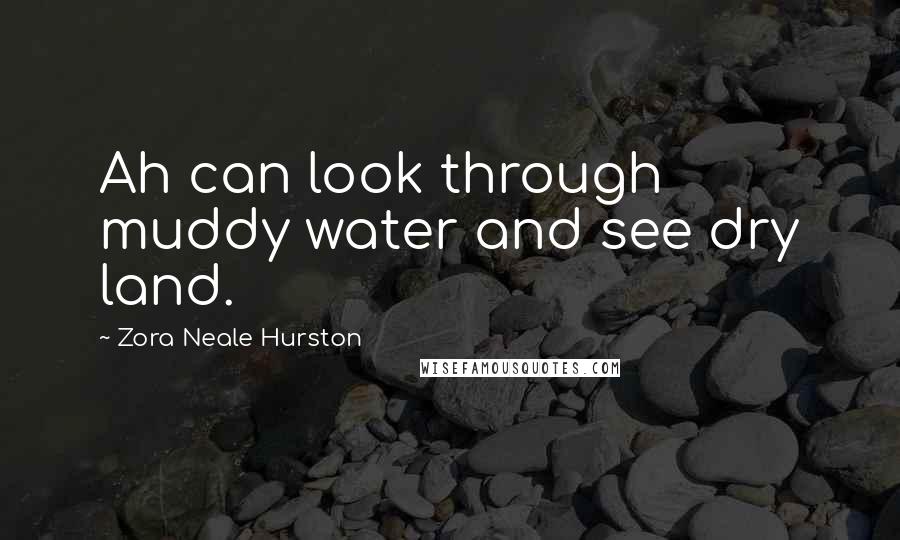 Zora Neale Hurston Quotes: Ah can look through muddy water and see dry land.