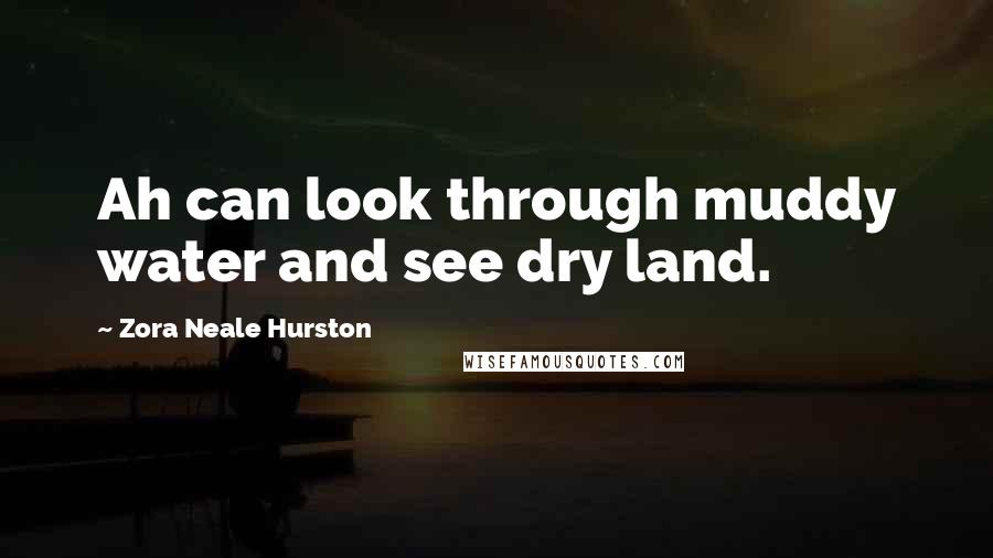 Zora Neale Hurston Quotes: Ah can look through muddy water and see dry land.