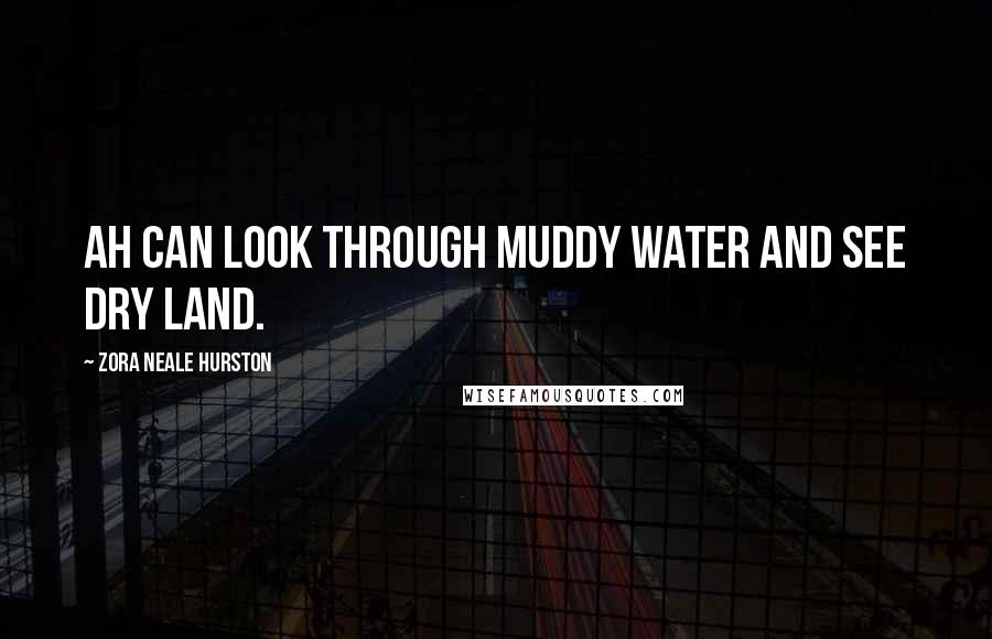 Zora Neale Hurston Quotes: Ah can look through muddy water and see dry land.