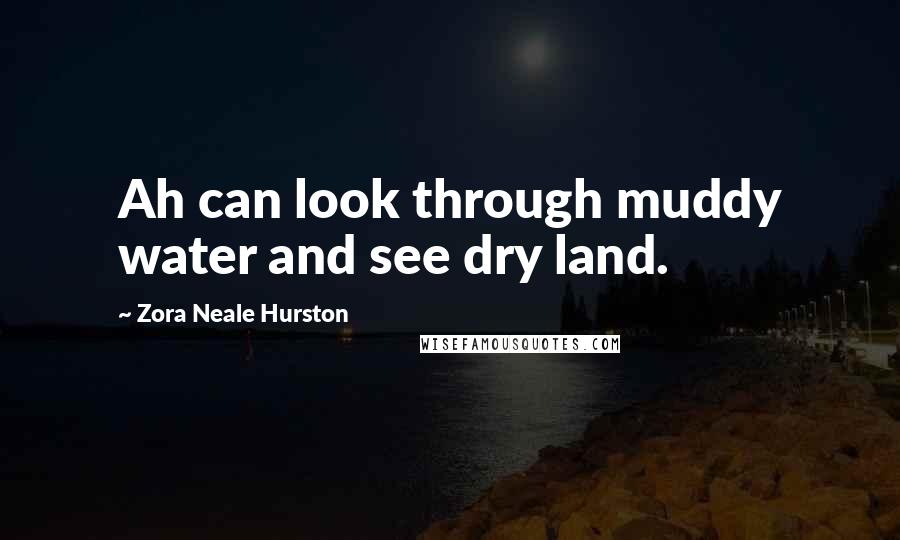 Zora Neale Hurston Quotes: Ah can look through muddy water and see dry land.