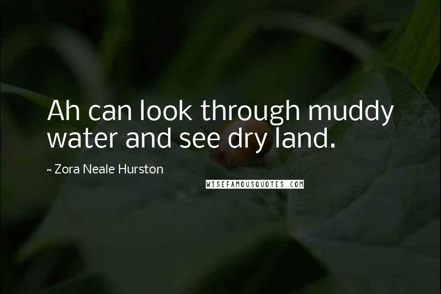 Zora Neale Hurston Quotes: Ah can look through muddy water and see dry land.