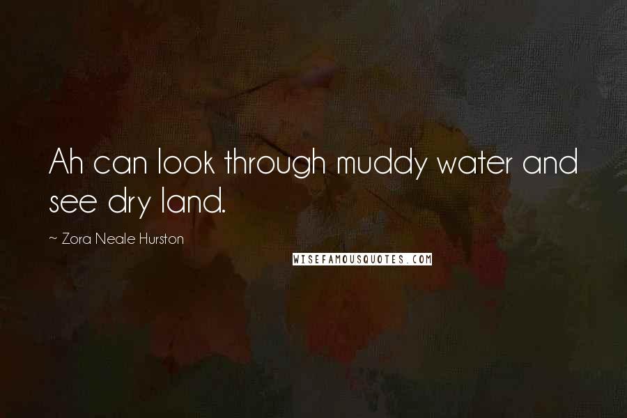 Zora Neale Hurston Quotes: Ah can look through muddy water and see dry land.