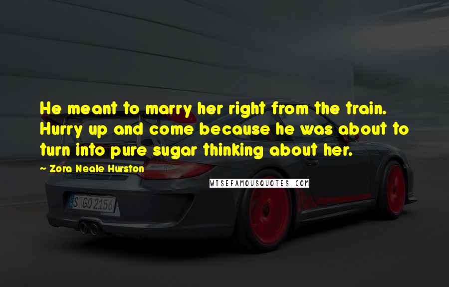 Zora Neale Hurston Quotes: He meant to marry her right from the train. Hurry up and come because he was about to turn into pure sugar thinking about her.