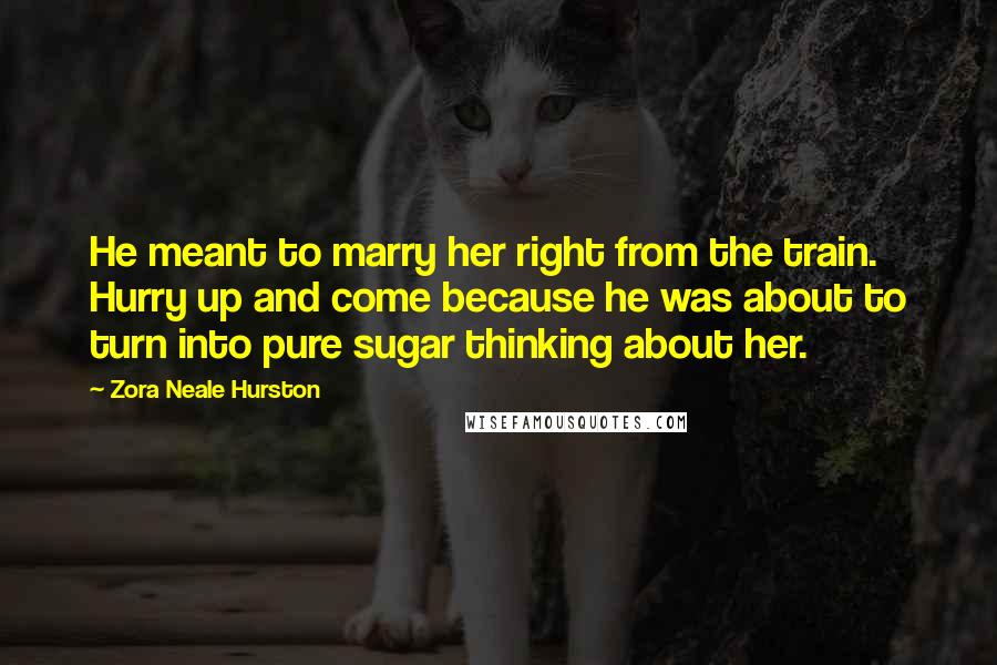 Zora Neale Hurston Quotes: He meant to marry her right from the train. Hurry up and come because he was about to turn into pure sugar thinking about her.